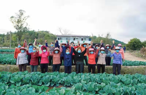 仁化县女能手申丽萍（前排右四）.jpg