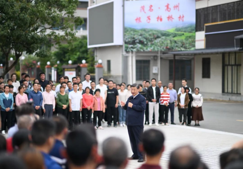 已编辑图片