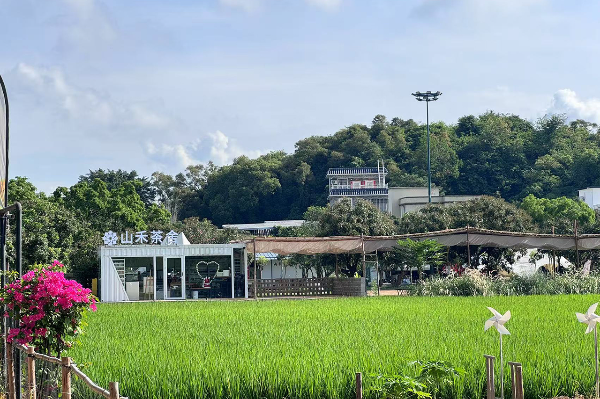 莲江山禾茶舍.jpg